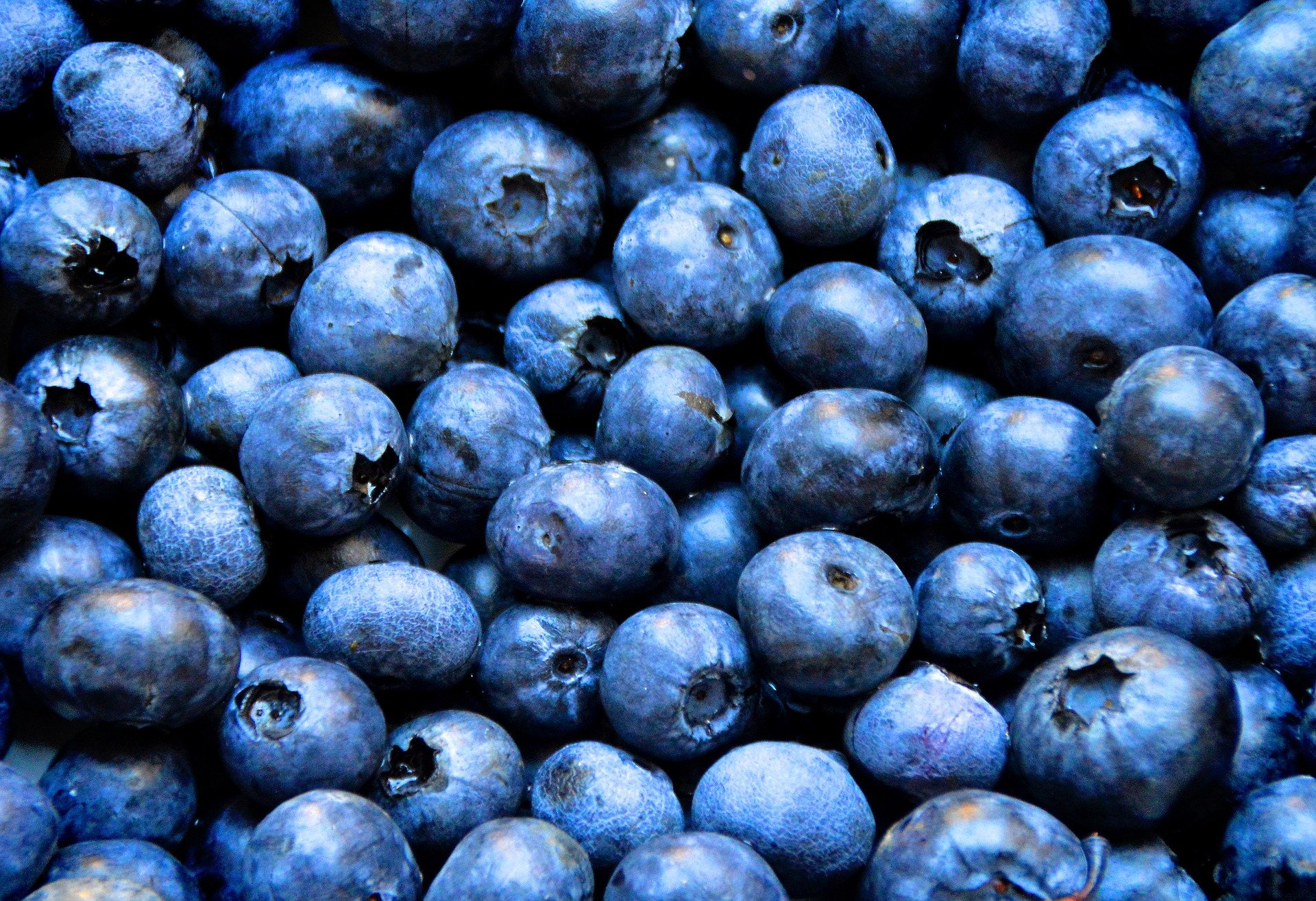 healthy-office-snack-blueberries
